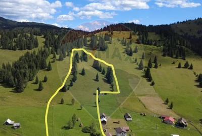 Teren de 14318m.p. in Paltinis, la 100m de strada Princi... - 3