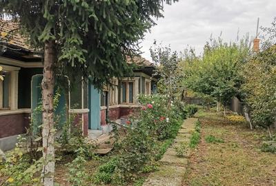 Cosereni, Ialomita - 2