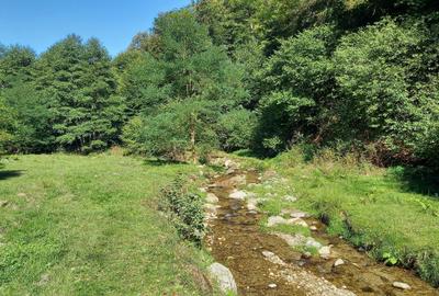 Spațiu comercial, în Central - 6