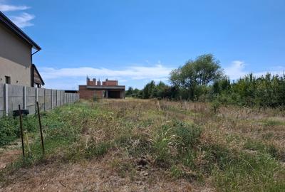 Teren Bazosu Nou, str. Cedrilor, nr. 17, Bucovat, Timis -> 592m2 - 2