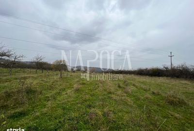 Spațiu comercial, în Feleacu - 1