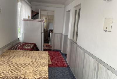 Casă cu 3 camere cu Teren 5239 Mp în Brazi - 14