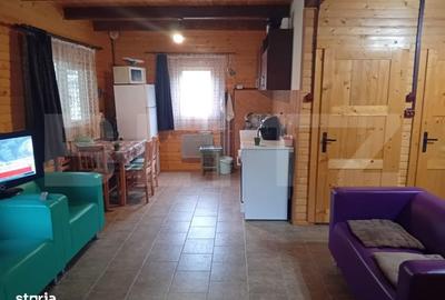 Casă cu 3 camere în Criș - 13
