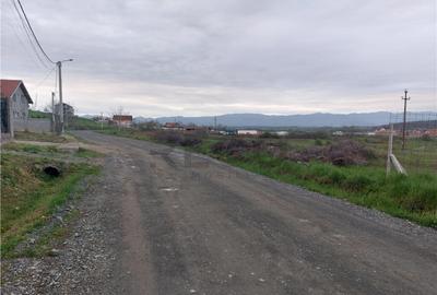 RECO Teren 4935mp in Beius - 2