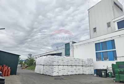 Spațiu comercial, de 26,320 mp, în Negrești-Oaș - 7