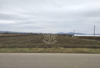 Teren Construcții intravilan de 2500 mp, în Jelna - 1