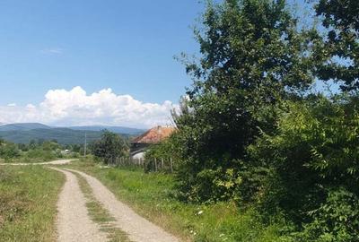 Teren de 5600 mp, în Hălmagiu - 4