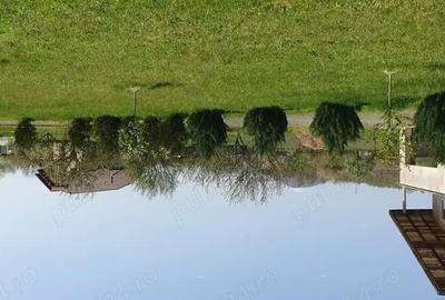 Casă cu 4 camere cu Teren 5800 Mp în Tăuții-Măgherăuș - 6