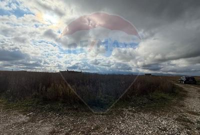 Comision 0%! Lot de casa in zona de dezvoltare, intre Sanpetru si Bod - 2