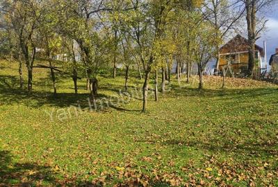 Teren de vanzare in comuna Arefu, jude? Arge?. - 7