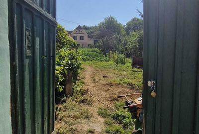 Casă cu 2 camere în Richiș - 2