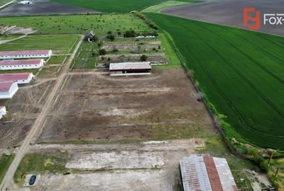 Teren Construcții intravilan de 58340 mp, în Sânmartinu Sârbesc - 9