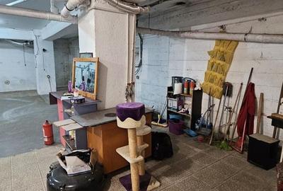 Militari spatiu subsol 272 mp - 12