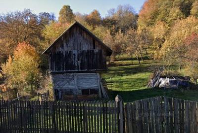 Teren de 4830 mp, în Godeni