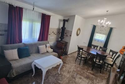 Casă cu 3 camere în Satu Nou de Jos - 2