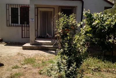 Casă cu 3 camere cu Teren 5000 Mp în Pătlăgeanca - 8