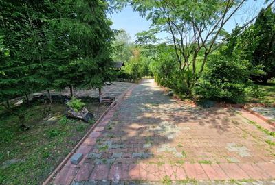 Casă cu 4 camere în Valea Unghiului - 8