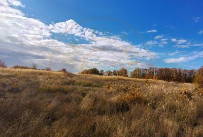 Terenuri intrevilane Comuna Mosoaia - 5