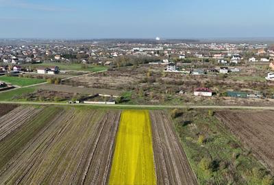 Teren 10.000 mp, parcelabil, ideal ansamblu case P+1 | Gulia - Dambovita - 2