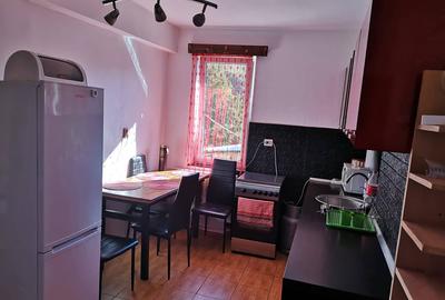 Apartament cu 2 camere nedecomandat în Pădurea Neagră - 6