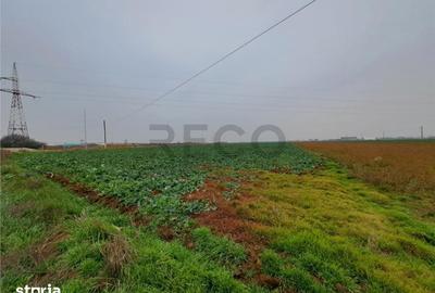 Teren de 6657 mp, în Tăut - 3