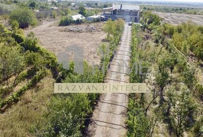 Pensiune 6 camere, teren 12713 mp, Dealul Mare, Urlati, Prahova - 5