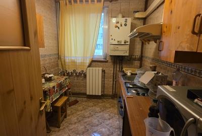 Titan, chiar la intrare in Parcul IOR, pe Lunca Bradului, la Scoala 195 - 14