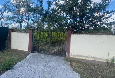 Casă cu 6 camere în Făclia - 7