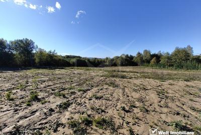 Teren intravilan In Faget, strada Sfanta Maria - 3