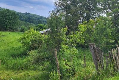 Teren Construcții intravilan de 2582 mp, în Bughea de Jos - 4