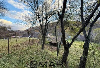 Casă individuală cu 3 camere cu Canalizare în Sighișoara - 12