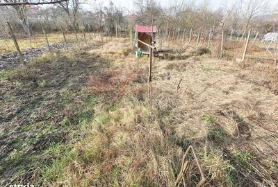 Casă cu 3 camere cu Teren 200 Mp în Central - 6