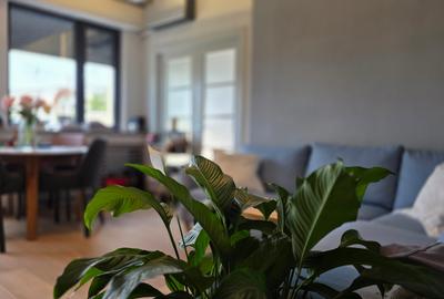 Apartament cu 3 camere semidecomandat în Cișmigiu