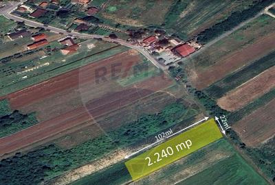 Teren de 2240 mp, în Lăpuș - 4
