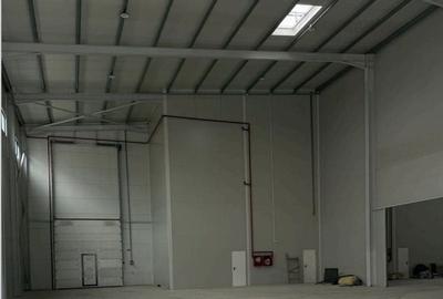 De vanzare hala industriala in Mogosoaia / Buiacului - 6