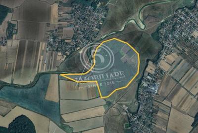 Padure de vanzare - Padurea lui Bolete, Fierbinti-Targ - 2