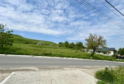 Teren agricol intravilan de 834 mp, în Central - 5