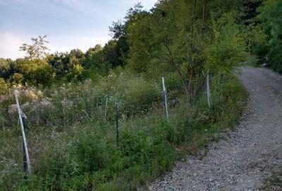 Teren de 300000 mp, în Roșia de Amaradia - 1