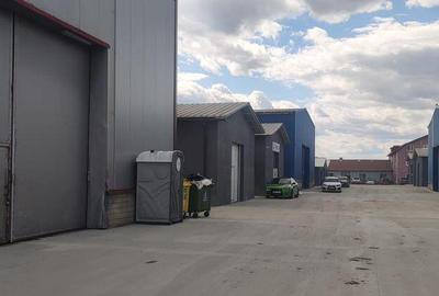 Hale renovate Oras Pantelimon module 200-400 mp ( zona in... - 3