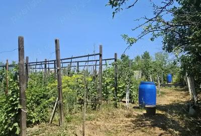 Casa de vanzare in Bal? - 10