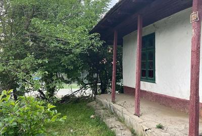 Teren de 1183 mp, în Surlari - 3