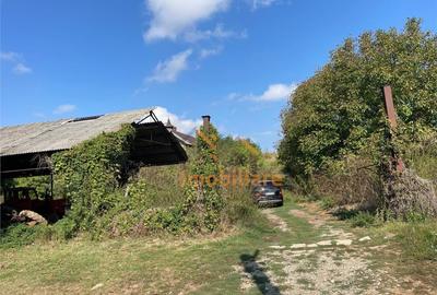 TEREN INTRAVILAN 2905 MP | DIOSIG - 3