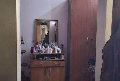 Casă cu 2 camere în Parcul Carol - 6