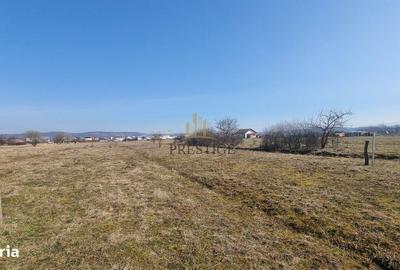 Spațiu comercial, în Central