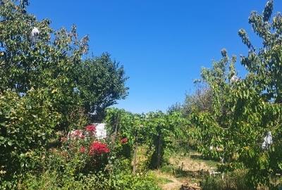 Casă individuală cu 5 camere cu Teren 1880 Mp în Parța - 2