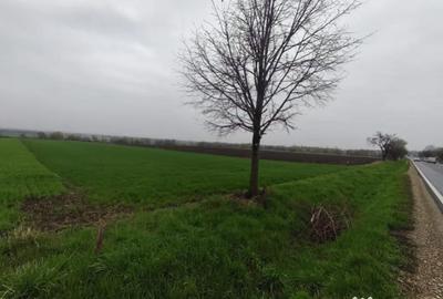 Teren de 6000 mp, în Horodnic - 3