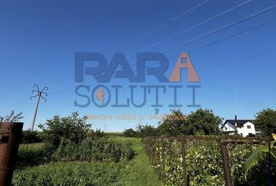 Casă 2015 - 4 dormitoare, 2 băi, 2 bucătării - 34