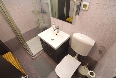 Apartament cu 2 camere decomandat, mobilat în Muncii - 14