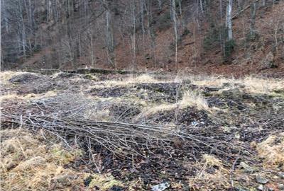 De vanzare teren intravilan AZUGA - 4