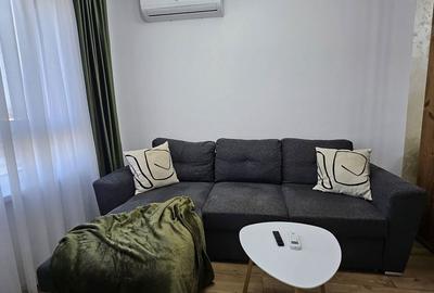 Apartament cu 3 camere decomandat în Nufărul - 20